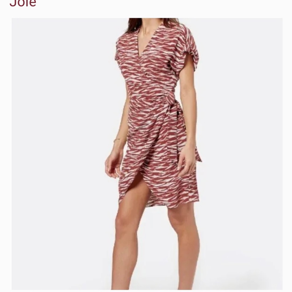 Joie Caye Silk Dress